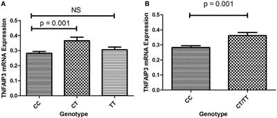 Inflammation-Related Gene Polymorphisms Associated With Primary <mark class="highlighted">Immune Thrombocytopenia</mark>